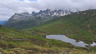 Experten der Umweltorganisation WWF haben in Österreich neue Moorflächen entdeckt. Zum Beispiel hier in Gaschurn in Vorarlberg.