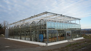 Das Kompetenzzentrum Obstbau Bodensee in Bavendorf im Kreis Ravensburg hat die Fertigstellung eines neuen Gewächshauses für die Forschung gefeiert. 