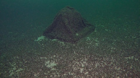 Eine 800 Kilogramm schwere Kugel voller Gin wurde vom Schiffsbergeverein aus Romanshorn im Bodensee wieder gefunden.