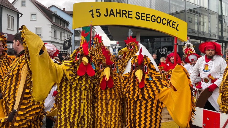 Der Große Narrensprung in Friedrichshafen 2026. Fastnacht am Bodensee auch bei Regen.
