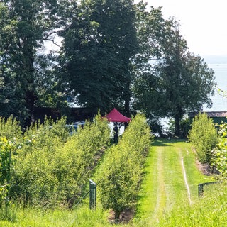 Ein Ufergrundstück am Bodensee. Hier wurde 2024 die Leiche einer getöteten Frau gefunden. Jetzt sind zwei Tatverdächtige festgenommen worden.
