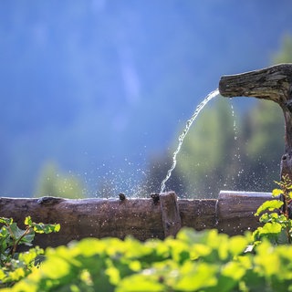 Wasser läuft aus einem Brunnen in einen Holztrog. Im Kreis Biberach ist im Brunnenwasser teils zu viel Nitrat.