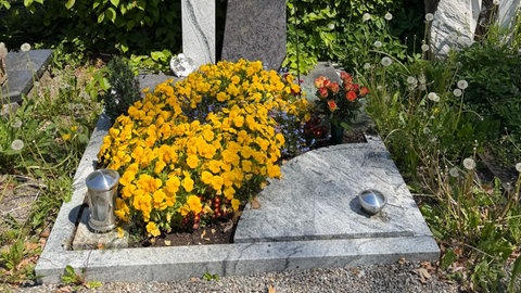 Von Unkraut umwuchert: ein Grab auf einem Friedhof in Weingarten. Die Stadt hat zu wenig Personal, um Löwenzahn & Co effektiv zu entfernen.