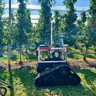 Ein Roboter fährt durch die Apfelplantagen in Kressbronn am Bodensee. Er ist mit Sensoren, Lasern und GPS ausgestattet und soll lernen Äpfel zu ernten.