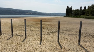 Der Bodensee führt viel weniger Wasser als sonst. Der heiße Sommer zeigt sich besonders am Untersee bei Horn.