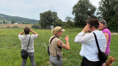 Die Besucher beobachten gespannt die Voliere am Flugplatz in Binningen.