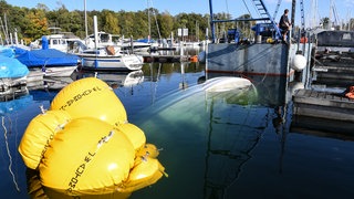 Ein Boot ist im Bodensee gesunken und wird wieder an die Oberfläche geholt.