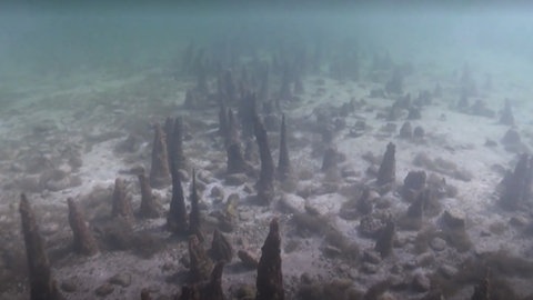 Die originalen Pfähle im Bodensee vor Unteruhldingen im Bodenseekreis.