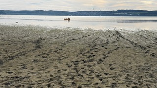Fußspuren im Bodenseeschlamm bei Uhldingen-Mühlhofen (Bodenseekreis).