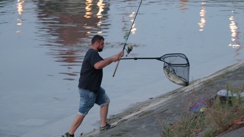 Ein Sportangler fischt im Bodensee vor Konstanz. Das Niedrigwasser macht Berufsfischern und Anglern Probleme.