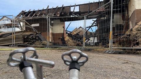 Brand Pferdehof in Neuenstadt
