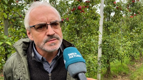 Jürgen Gräßle, Besitzer Bio-Obsthof Gräßle, bei einem Interview