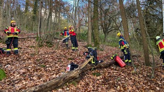 Gleitschirmfleiger muss aus Baumkrone gerettet werden in Bretzfeld