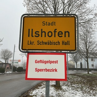 Der Verdacht der hoch ansteckenden Vogelgrippe hat sich in einem Putenmastbetrieb im Kreis Schwäbisch Hall bestätigt.