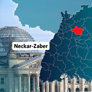 Wahlkreis Neckar-Zaber