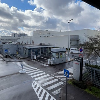 Umfrage bei Audi