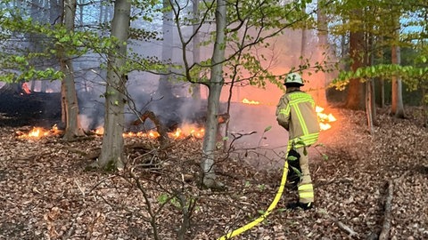 In Heilbronn musste die Feuerwehr am Samstagabend zu einem Flächenbrand im Wald ausrücken