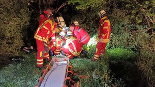 Bei Neudenau fährt ein Autofahrer eine Böschung hinab. Er wird bei dem Unfall schwer verletzt. 