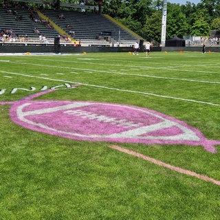 Die pinke Schleife, die auf die Brustkrebsvorsorge aufmerksam machen soll, wurde beim ersten "Pink Bowl" der Schwäbisch Hall Unicorns kurzerhand mit einem Football kombiniert.