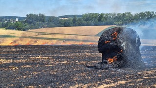 Die Freiwillige Feuerwehr rückt zu einem Flächenbrand in Abstatt aus.