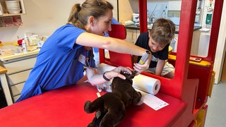 In der Teddyklinik werden die Stofftiere untersucht: Hier wird geprüft, ob der Hund von Yasin unter Ohrenschmerzen leiden könnte. 