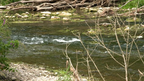 Jagst bei Kirchberg