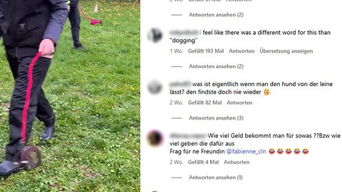 Eine Hundetrainerin aus Bad Friedrichshall hat aus einer spontanen Idee einen Trend gemacht: Hobby Dogging - Hundetraining ganz ohne Hund.