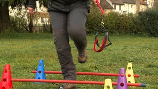 Eine Hundetrainerin hat aus einer spontanen Idee einen Trend gemacht: Hobby Dogging - Hundetraining ganz ohne Hund.