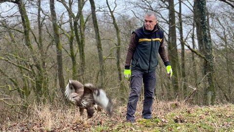 Greifvogel mit Gehirnerschütterung - nach nur zwei Tagen konnte der Wildtierbeauftragte Martin Hans den verletzten Bussard wieder in die Freiheit entlassen.