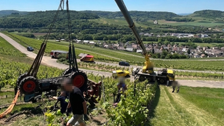 Bei den Arbeiten in den Weinbergen in Erlenbach (Kreis Heilbronn) ist ein Schlepper umgekippt und hat einen Mann eingeklemmt.