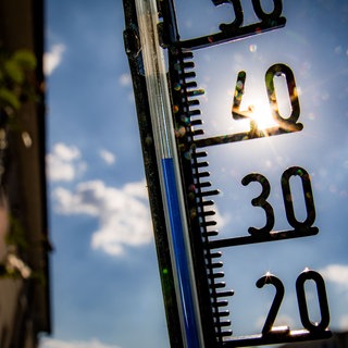 Bauunternehmen passen sich an den Klimawandel an. Heiße Sommer sorgen für ein Umdenken. Auch in Pflegeheimen und Schulen.