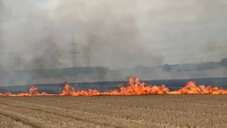 Feuer in Heilbronn: Wieder kam es zu zahlreichen Feldbränden 