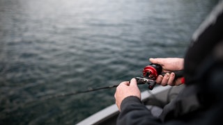 Laut Fischereiverband gibt es immer mehr Probleme und Gewalt bei Schwarzanglern. (Symbolbild)