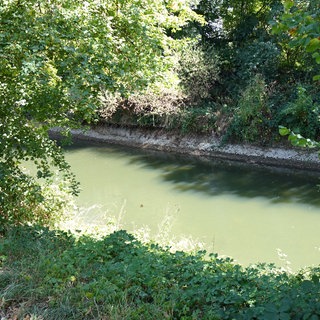 Kocherkanal in Bad Friedrichshall