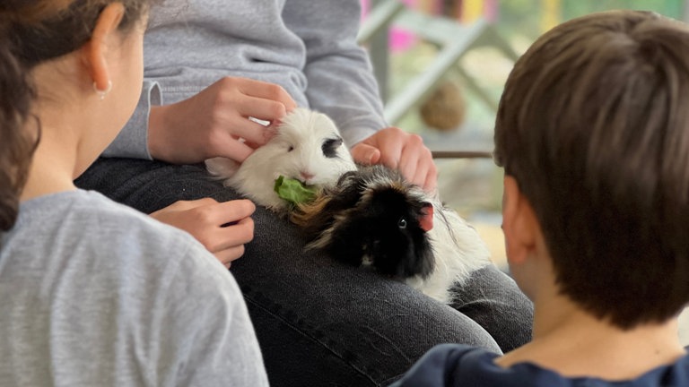 Öko-AG an der August Renner Realschule Rastatt