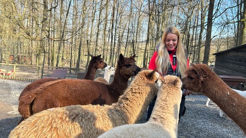 Tierparkinhaberin Tamara füttert ihre Alpakas