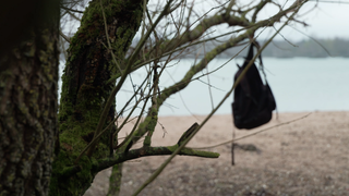 (Szene nachgestellt): An einem Baum am Ufer des Epplesees bei Karlsruhe hängt ein Rucksack. Amelies Rucksack wurde nach ihrem Suizid dort gefunden.