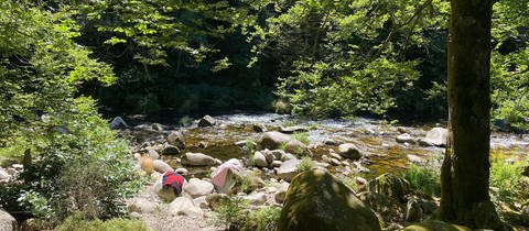 Die Murg fließt durch den Wald bei Forbach, viele große Steine liegen am Ufer. Wer in Baden-Württemberg bei Hitze im Sommer nach Abkühlung sucht, wird hier fündig: Baggerseen, Flüsse und Freibäder zum Baden und Schwimmen. SWR1 Baden-Württemberg hat für euch die schönsten Badeseen, Strandbäder, Fluss-Badestellen und Baggerseen zusammengestellt - von Karlsruhe, Rhein-Neckar-Kreis, Heidelberg, Mannheim und Heilbronn, Neckar-Odenwald, Hohenlohe bis in den Main-Tauber Kreis - vom Bodensee, Freiburg, Schwarzwald bis Reutlingen, Tübingen, Sigmaringen, Zollernalb, Alb-Donau, Ulm und Ostalb. Wir haben sogar Tipps für Badeseen mit Hundestrand!