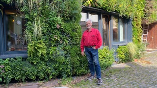 Der vertikaler Garten am Holzhaus von Volker Lück in Karlsruhe-Knielingen: Er hilft gegen die Hitze in der Stadt.