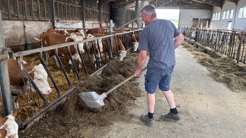 Landwirt Reiner Maag besitzt einen Hof in Graben-Neudorf. Er ist stolz, dass seine Kinder mit Videos über die Landwirtschaft auf Instagram Erfolg haben.