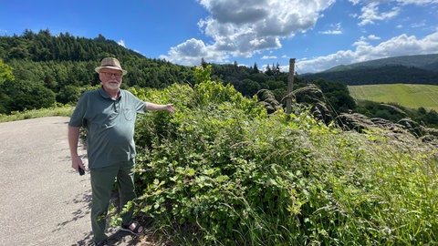 Probleme im Weinbau: Viele Weinberge rund um Baden-Baden sind in einem ungepflegten Zustand