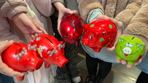Sparschweine