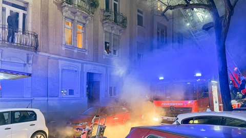 Die Karlsruher Feuerwehr hat mehrere Personen und eine Katze aus einem Mehrfamilienhaus in der Weststadt gerettet. 