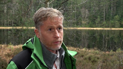 Chef-Ranger Charlie Ebel im Nationalpark Schwarzwald