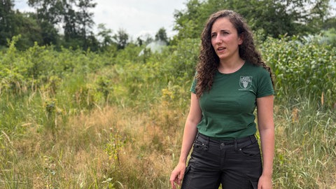Elena Motschilnig steht vor einer neu aufgeforsteten Fläch bei Weingarten. Im Hintergrund sieht man die Beregnungsanlage.  