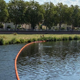 Auf der Murg bei Gaggenau schwimmt eine Ölsperre.