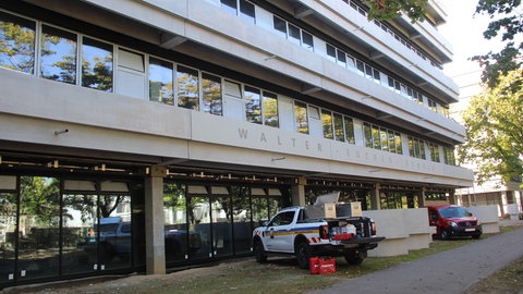 Die Walter-Eucken-Schule wird grundlegend saniert und hat eine neue Fassade. 