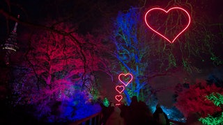 Über einer Brücke im Luisenpark leuchten rote Herzen. Die Bäume sind bunt angestrahlt.