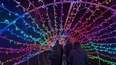 Besucher laufen durch einen Lichttunnel bei den Winterlichtern 2025.