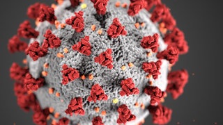 Grafische Darstellung des Coronavirus